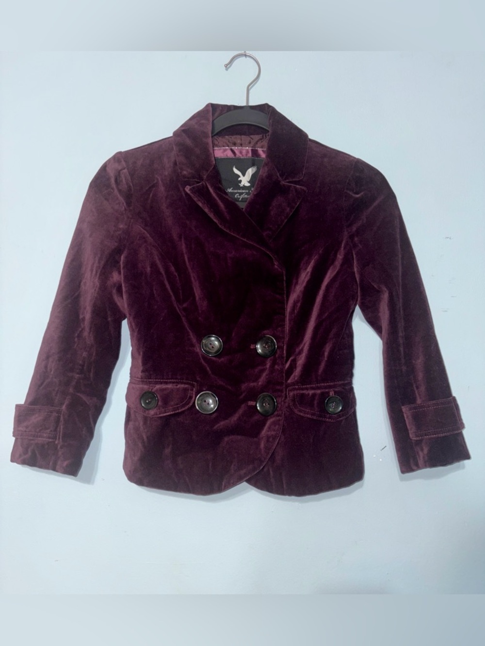 Vintage Y2K American Eagle Dark Academia Velvet Double-Breasted Blazer - Plum